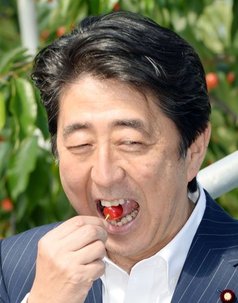 視察でサクランボを食べる安部首相　（c）朝日新聞社　＠＠写禁