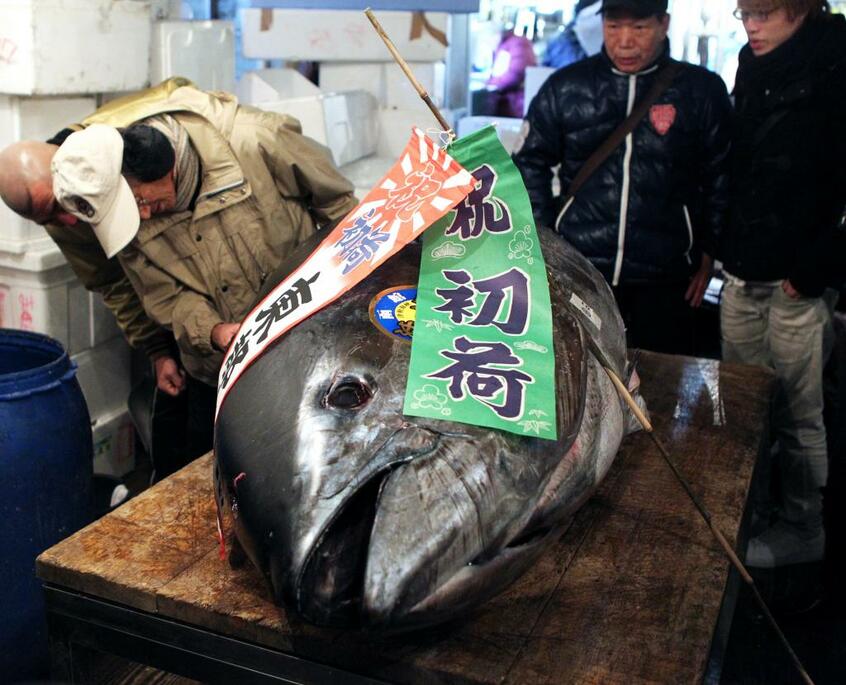 初競りで値がついたクロマグロ=2011年1月、築地市場で
