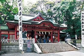 うっそうとした緑に覆われる本殿。御祭神が鎮座したとき、神前に「麦こがし」をお供えしたことから、7月の例大祭は「こがし祭」とも呼ばれている