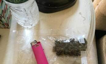 伊勢谷被告が溺れた大麻 日本の「麻薬不足」を丸山ゴンザレスが指摘
