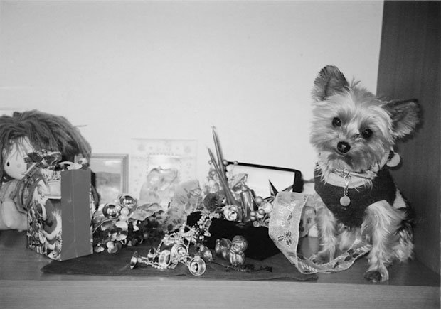 写真・図版(1枚目)| 第1034回 クインクインと鳴いておやつを催促