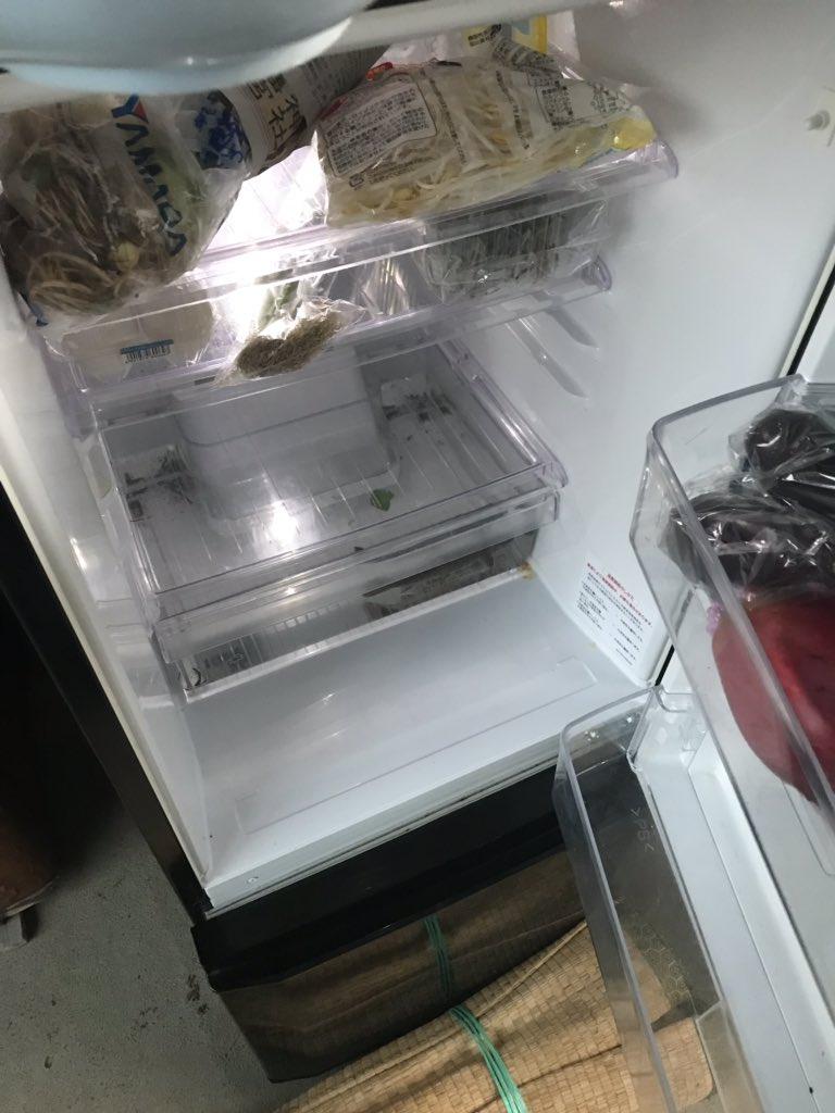 冷蔵庫の中で飼育される北村さん家のイワナ