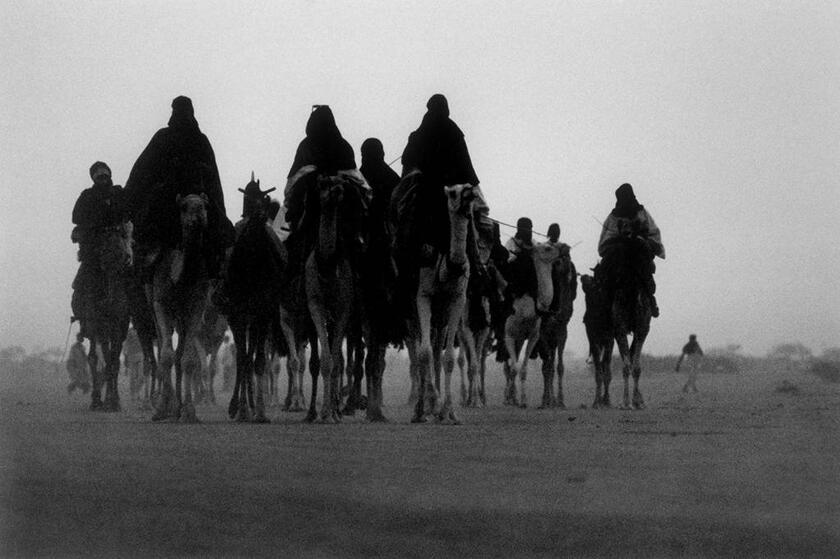 儀式を終えたトゥアレグ族戦士たち　アガデス、ニジェール／1975年（撮影：野町和嘉）