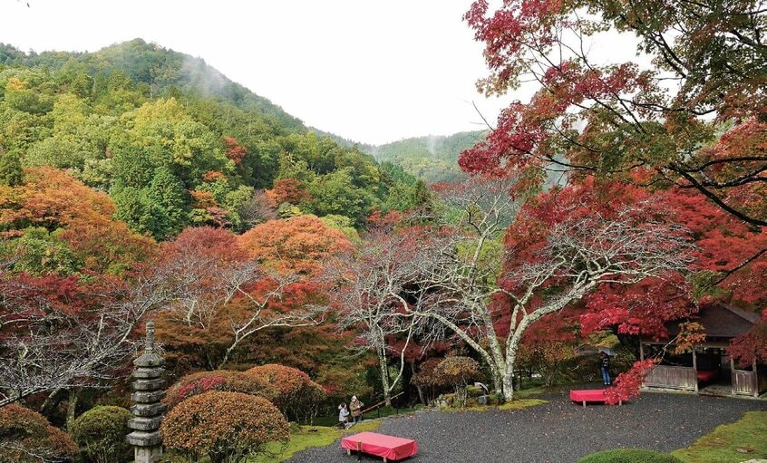 白龍園/高台にある東屋・福寿亭から眺める紅葉が見応えあり。庭園は苔も美しいので、散りもみじもチェックしてほしい