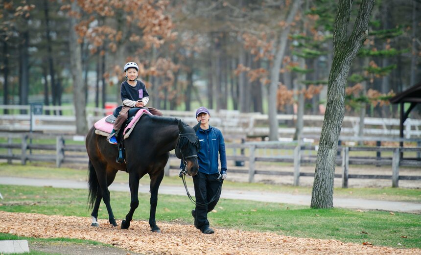 馬の体高は品種にもよりますが、パークの乗馬体験で活躍する馬たちは約160㎝前後。「思ったよりずっと高い！」