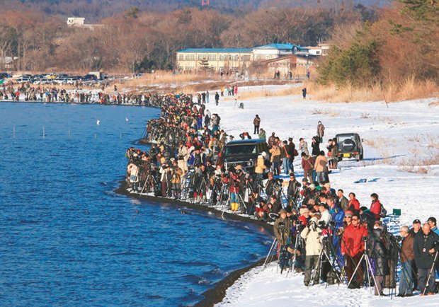 冨塚さん「毎日200メートルくらい撮影ポイントがずれていくのに合わせて、カメラマンも大移動します」(写真/冨塚さん提供)
