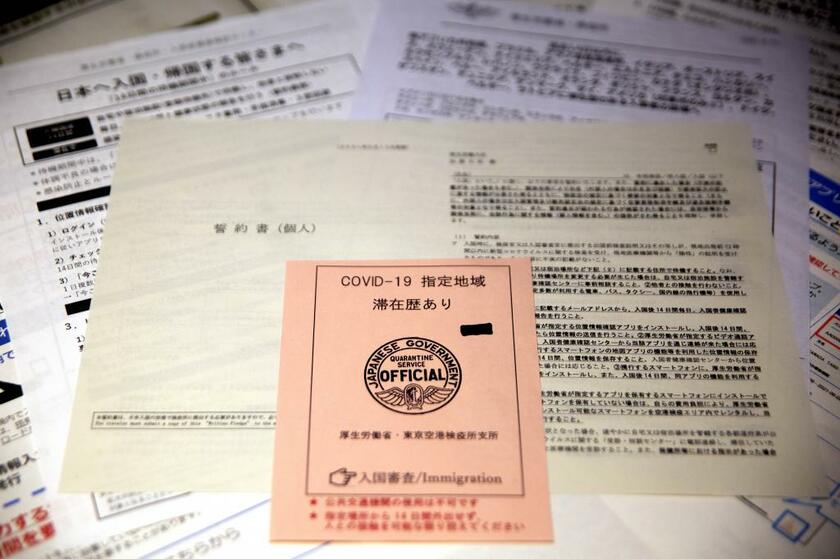 日本に帰国する際に配られた入国関連書類
