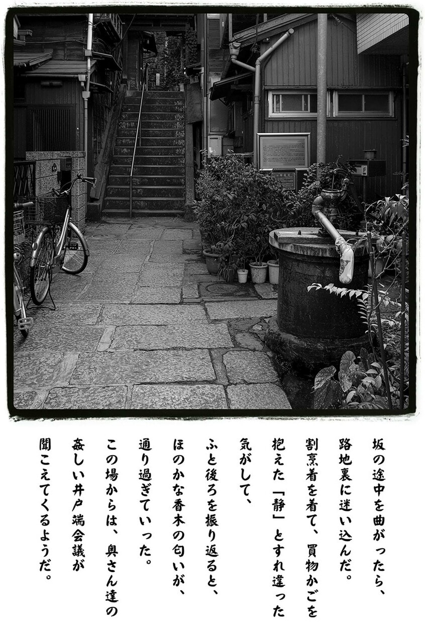 写真と文:熊谷正