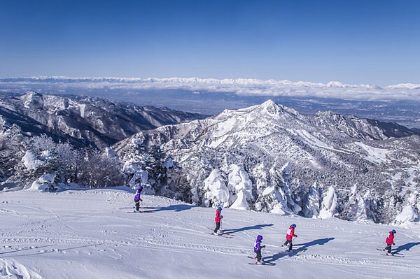 野沢・志賀・妙高エリアは積雪量が多い地域。雪質もよく、広大な自然の中、存分にスキー＆スノーボードが楽しめます