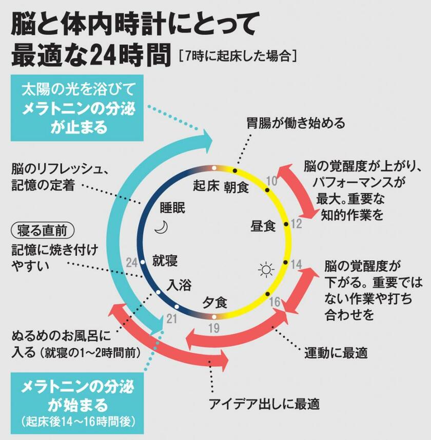 脳と体内時計にとって最適な２４時間（ＡＥＲＡ　２０１９年１１月１１日号より）