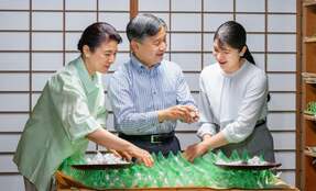陛下と雅子さまの結婚30年、短め文書に平坦でない道を思う 21年ぶり外国親善訪問が同じ日に閣議決定