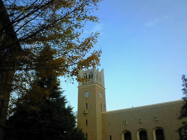 早稲田大学