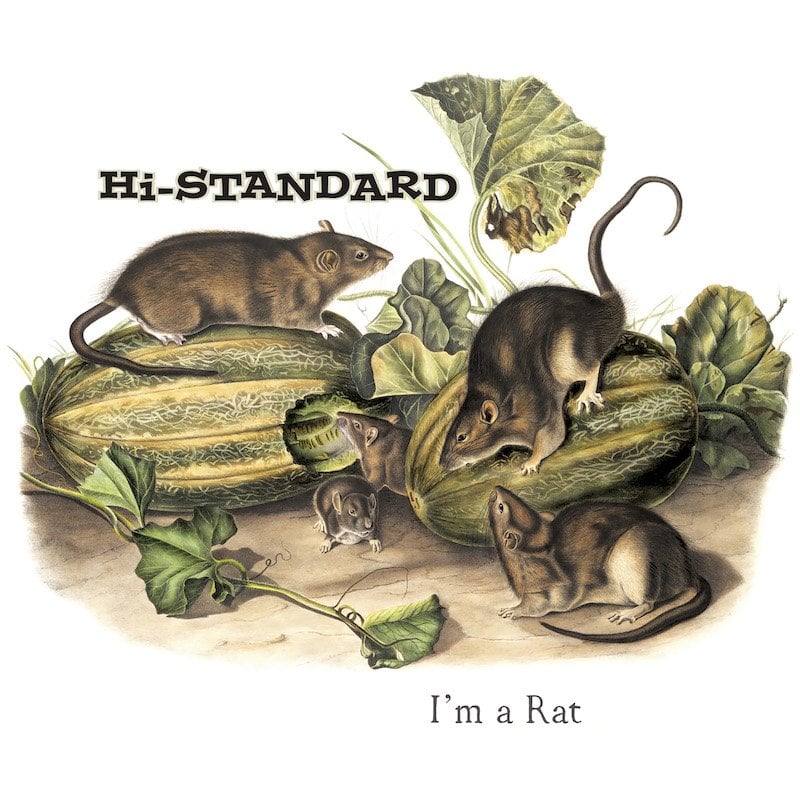 Hi-STANDARD「I’M A RAT」が、米所属レーベルから7インチ・ピクチャー・ディスクでリリース