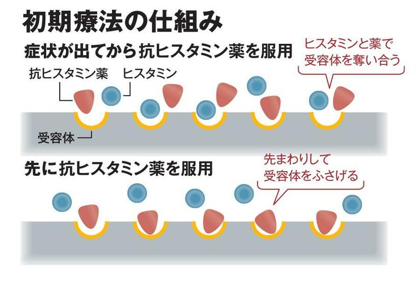 初期療法の仕組み（ＡＥＲＡ　２０１９年１１月２５日より）