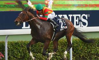 日本競馬史に残る「距離不問」の名馬たち 今じゃありえない“過酷ローテ”で結果残した馬も!