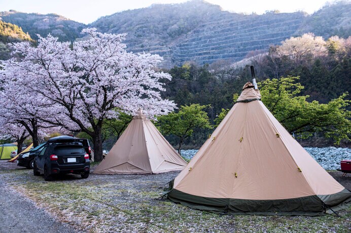 キャンプをしながら花見も楽しめる春の季節。年に一度だけの最高の時間を思いっきり楽しもう！