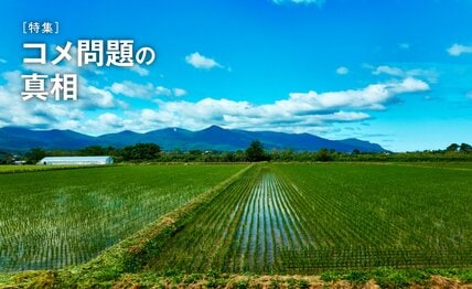 【真相ルポ】「米が足りない」現場の訴えを農水省は握りつぶした　発端は2年前の「猛暑」　1等米がわずか4.9％に
