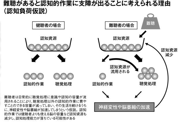 難聴があると認知的作業に支障が出ることに考えられる理由（認知負荷仮説）（週刊朝日　９月１４日号より）