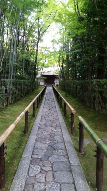 大徳寺の高桐院