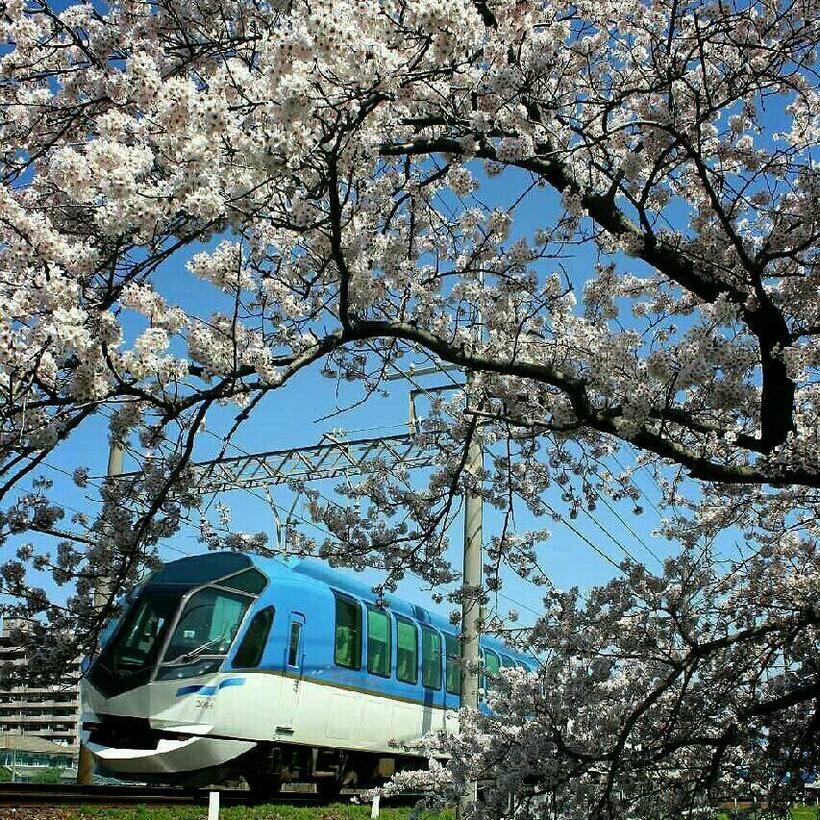 「近畿日本鉄道の特急「しまかぜ」を撮影しました。アドバイスをお願いします」の質問者が撮影した写真