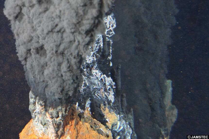 深海の熱水噴出孔。プレート境界など海底の火山活動が盛んなところでたくさん見つかっている（C)JAMSTEC