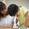 「害虫対策」を自由研究に! 親子で作れる虫よけスプレーのレシピを公開