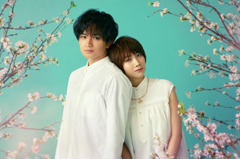 中島健人、2022年配信Netflix映画『桜のような僕の恋人』に主演