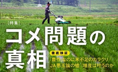 コメ問題の真相