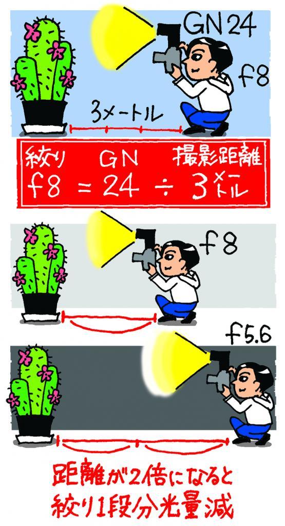 ストロボの光量を表す指標としてガイドナンバー(GN)がある。計算式を理解すれば使用するストロボと被写体との距離から適正露出となる絞り値を割り出せるようになる。なお仕様としてのガイドナンバーには必ずISO感度が併記される(イラスト/やまもと妹子)