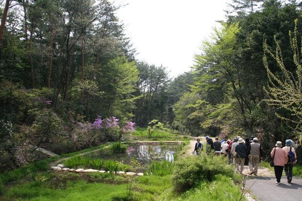 “キャンパスまるごと博物館”を掲げる広島大学総合博物館は季節ごとに変わる動植物を観察に県内外から人が訪れる（同大学提供）