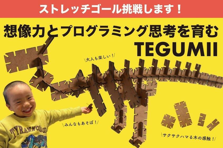 【TEGUMII】(photo 提供)