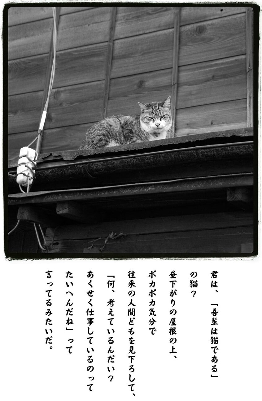 写真と文:熊谷正