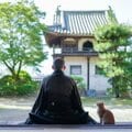 「猫を差し出せ、これは命令だ」織田信長は猫の天敵だった! 愛猫家たちの駆け込み寺とは