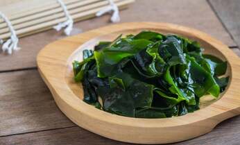 米国でよもやの「海藻」ブームが到来する? 効果的な食べ方を管理栄養士が解説