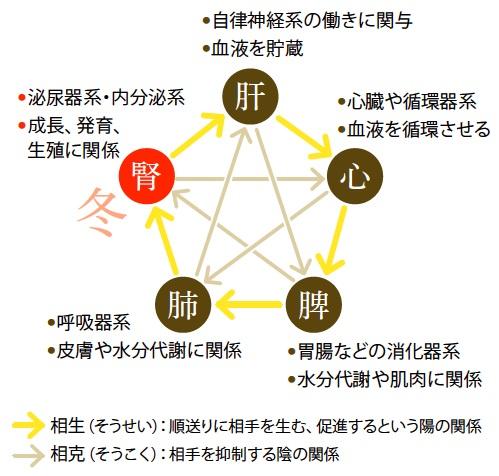 黒豆は、五行説の「腎」の働きを高める食材