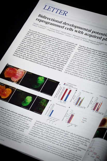 新しい万能細胞「ＳＴＡＰ細胞」を開発したという論文が発表された英科学誌ネイチャー。ネイチャー編集部でも論文の調査を開始したという（撮影／写真部・植田真紗美）