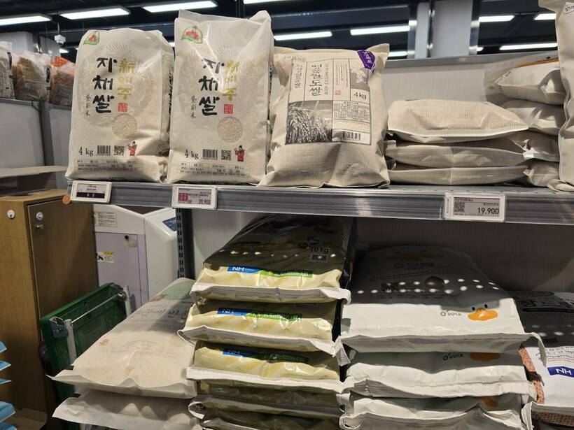 韓国米