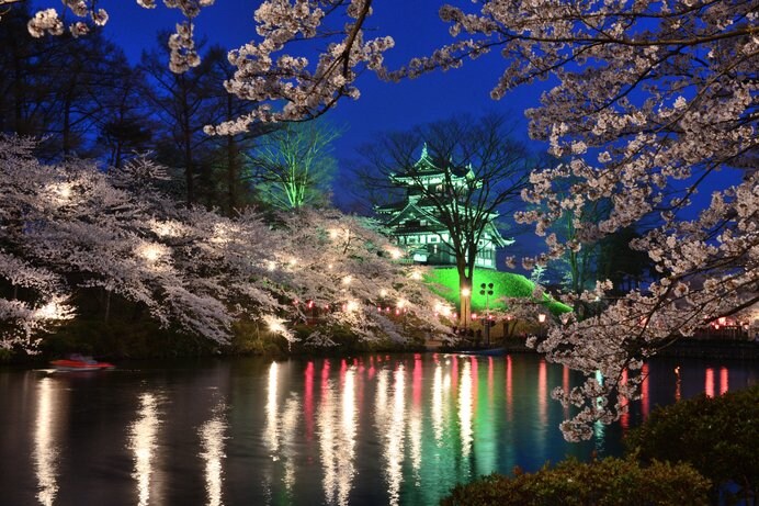 日本三大夜桜・高田公園（新潟県）
