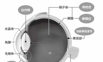 放置はNG! 「眼の病気」を治すと健康寿命が延びる!?