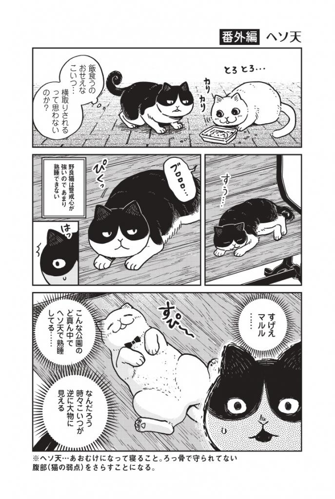 『ツレ猫　マルルとハチ』（ｃ）園田ゆり／講談社