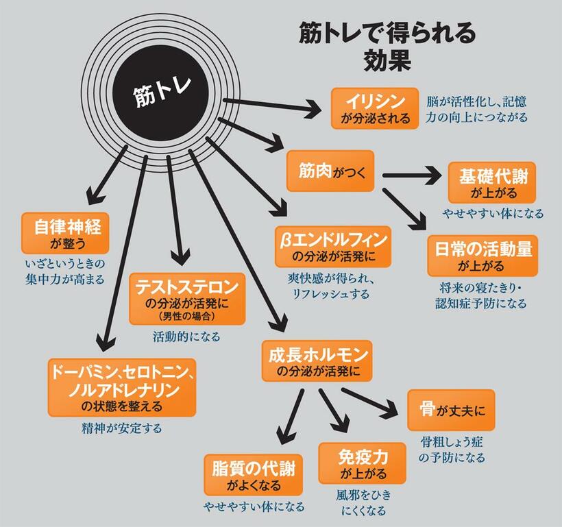 筋トレで得られる効果（ＡＥＲＡ　２０１９年８月１２ー１９日合併号より）