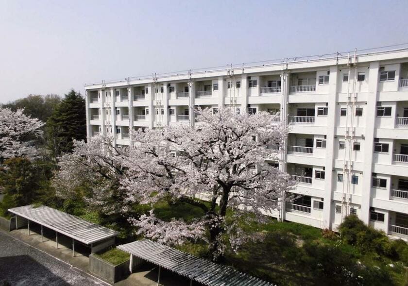 大蔵住宅（写真／JKK東京提供）