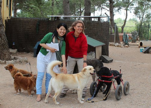 「放し飼いシェルター」オーナーの女性と、新入りの白い犬。右側には４輪の補助器具を付けた黒いラブラドールレトリーバー（スペイン）