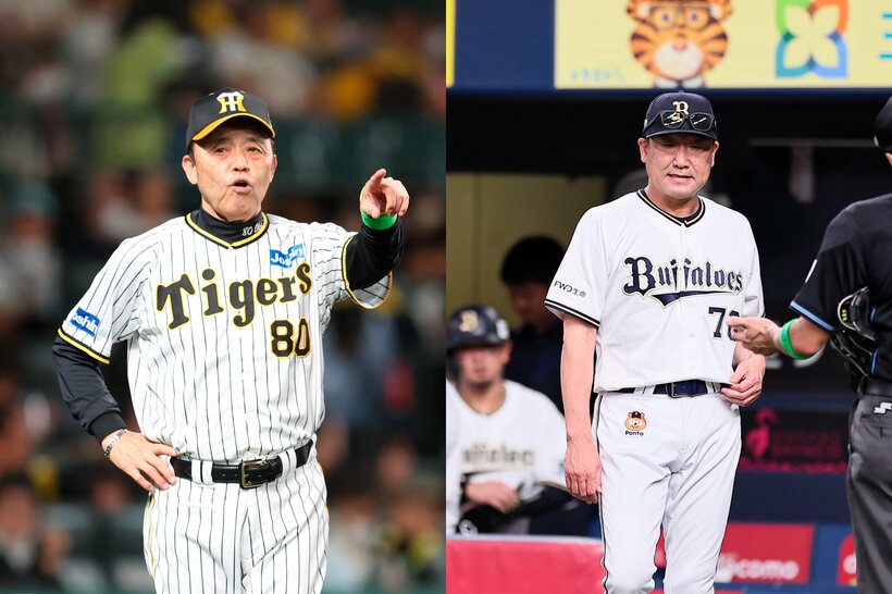 138年ぶりの日本一を目指す阪神の岡田彰布監督（左）。2年連続最下位から3年連続リーグ優勝、そして2年連続日本一を狙うオリックスの中嶋聡監督。